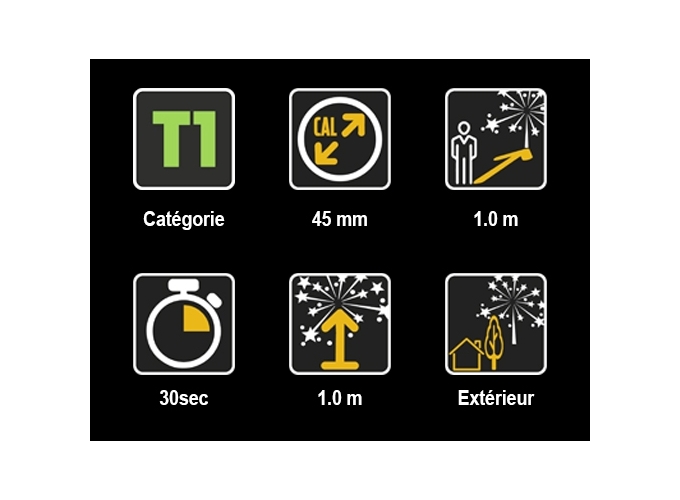 SACHET 2 TORCHES A MAIN ASSORTIS (10 sachets)