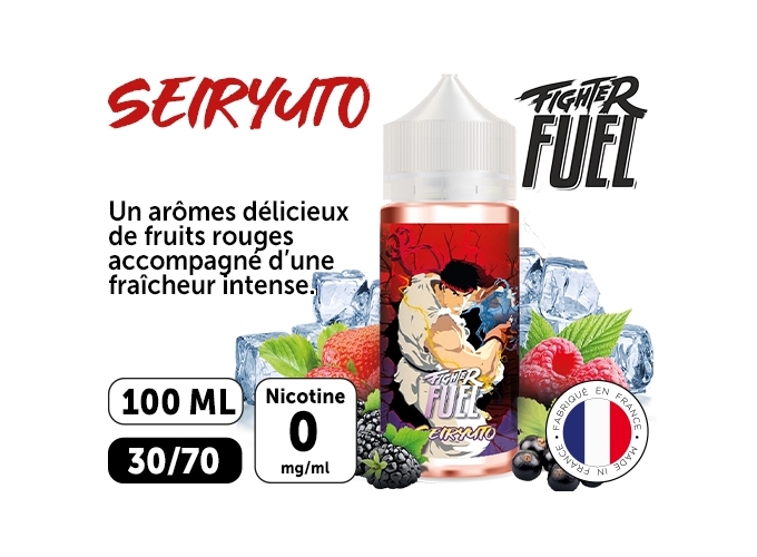 SEIRYUTO  100 ML FUEL LIQUIDE