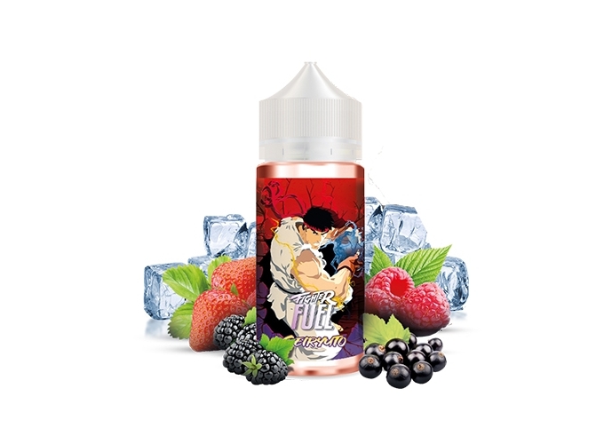 SEIRYUTO  100 ML FUEL LIQUIDE