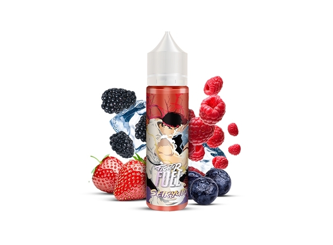 SEIRYUTO  50 ML FUEL LIQUIDE