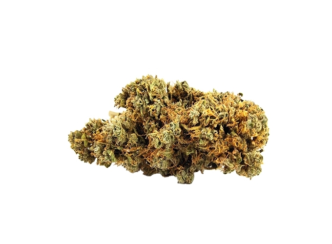 SMALL BUD 420 ''CHERRY WINE'' 10 1G (10)