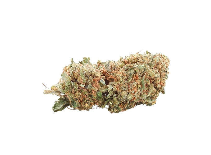 SMALL BUD 420 ''CRITICAL'' 10 1G (10)