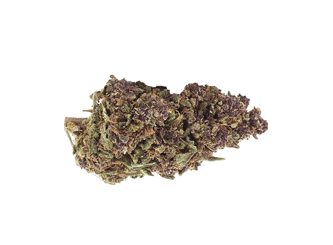 SMALL BUD 420 ''PURPLE PUNCH'' 10 1G (10)