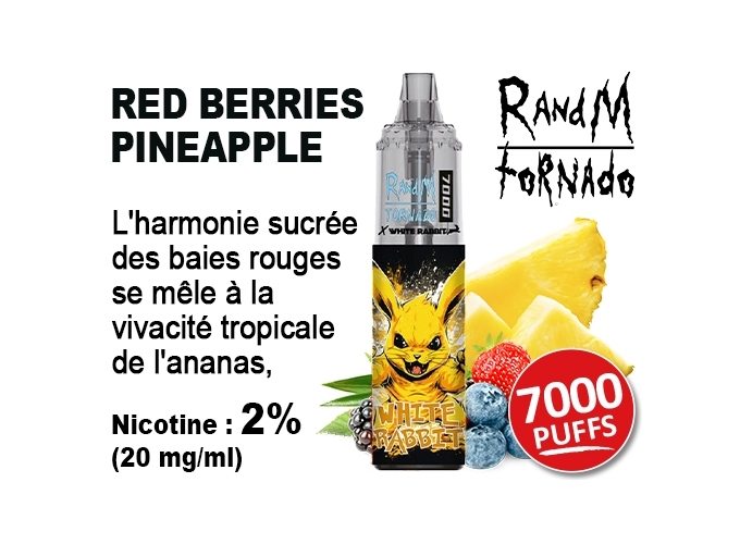 TORNADO BY RANDM FRUIT ROUGE ANANAS 7000 PUFFS(10)