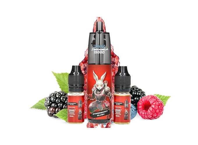 TORNADO FIZZY BERRY 15 K 2 FLACONS 10ml 2% (10)