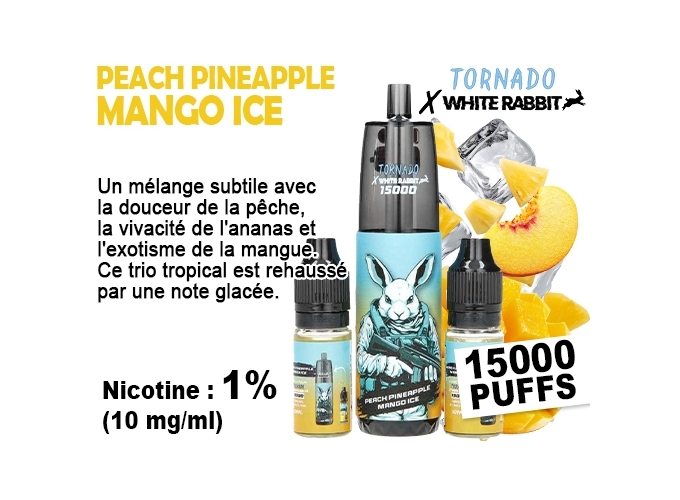 TORNADO PECHE ANANAS MANG 15 K 2 FLACONS 1% (10)