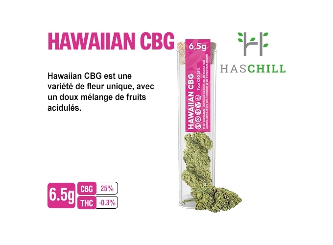 TUBE VERRE HAWAIIAN CBG 6.5G  (BOITE DE 6)