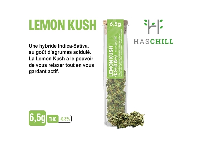 TUBE VERRE LEMON KUSH 6.5G  (BOITE DE 6)