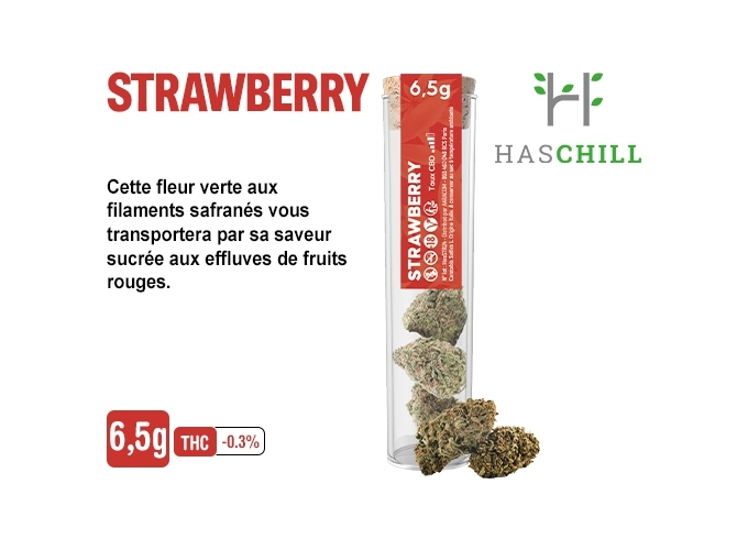 TUBE VERRE STRAWBERRY 6.5G  (BOITE DE 6)