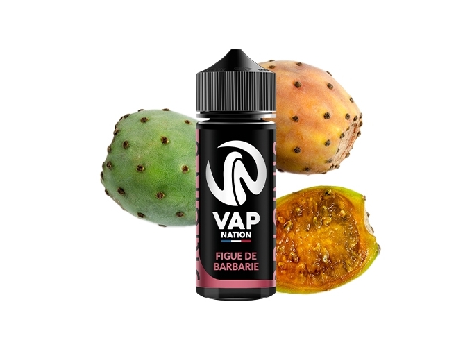 VAP NATION 100ml FIGUE DE BARBARIE 00 MG