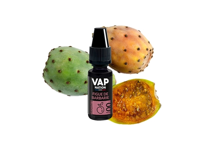 VAP NATION 10ml FIGUE DE BARBARIE 00 MG