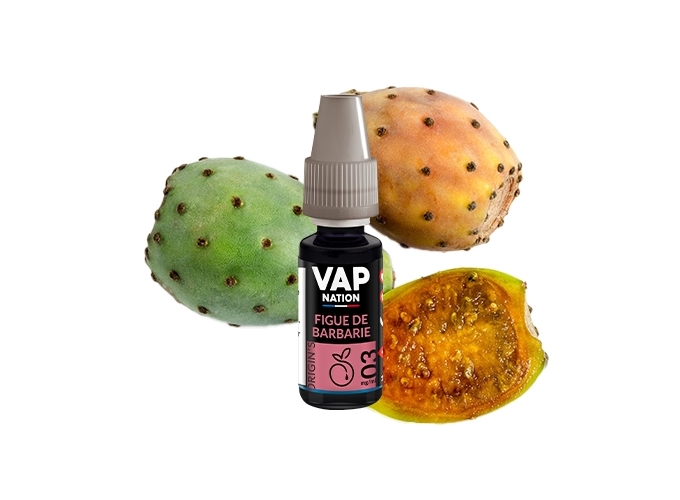 VAP NATION 10ml FIGUE DE BARBARIE 03 MG
