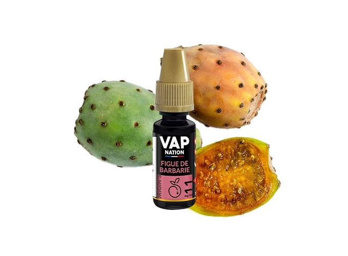 VAP NATION 10ml FIGUE DE BARBARIE 11 MG