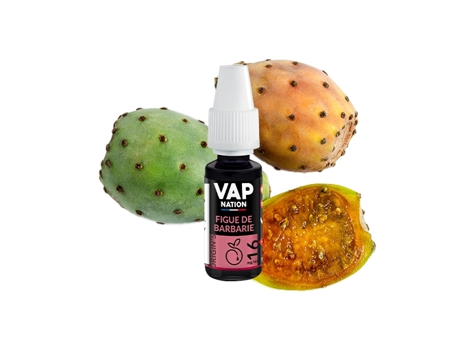 VAP NATION 10ml FIGUE DE BARBARIE 16 MG