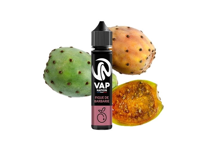 VAP NATION 50ml FIGUE DE BARBARIE 00 MG