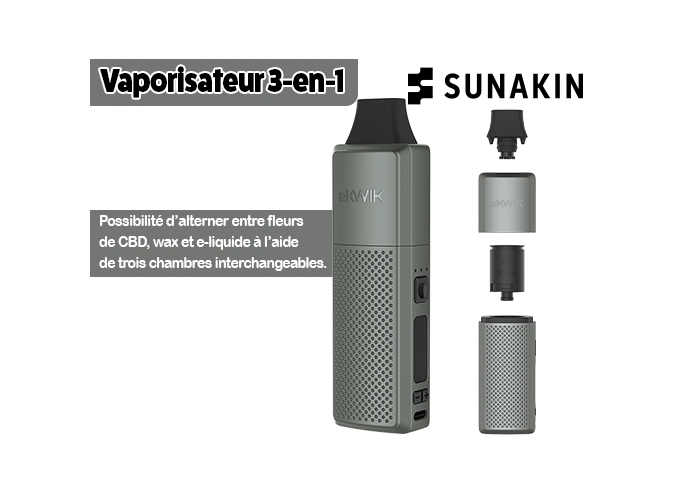 VAPORIZATEUR EKWIK GRIS (1)