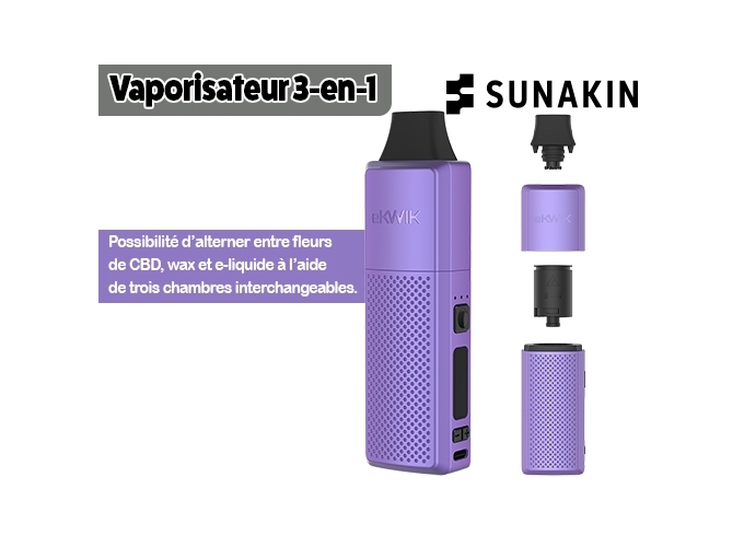 VAPORIZATEUR EKWIK PURPLE (1)
