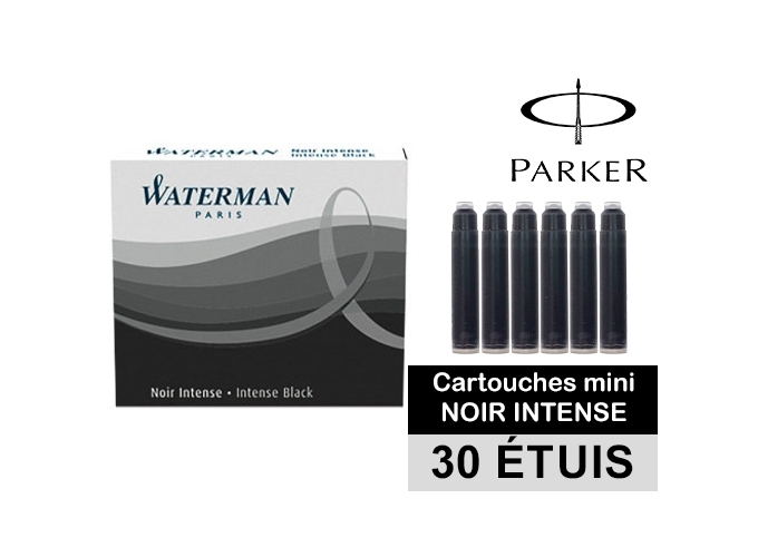 WATERMAN ETUI 6 CARTOUCHES MINI NOIR EFFAC. (30)