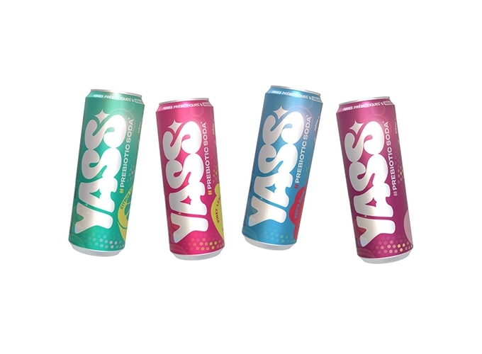 YASS CANETTE 33CL PINK LEMONADE (12)