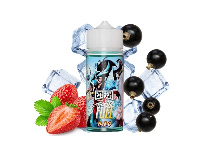 YUKO 100 ML FUEL LIQUIDE